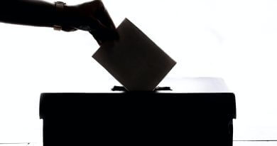 Abbildung Wahlurne, Die Bundestagswahl aus Sicht des Onlinehandels